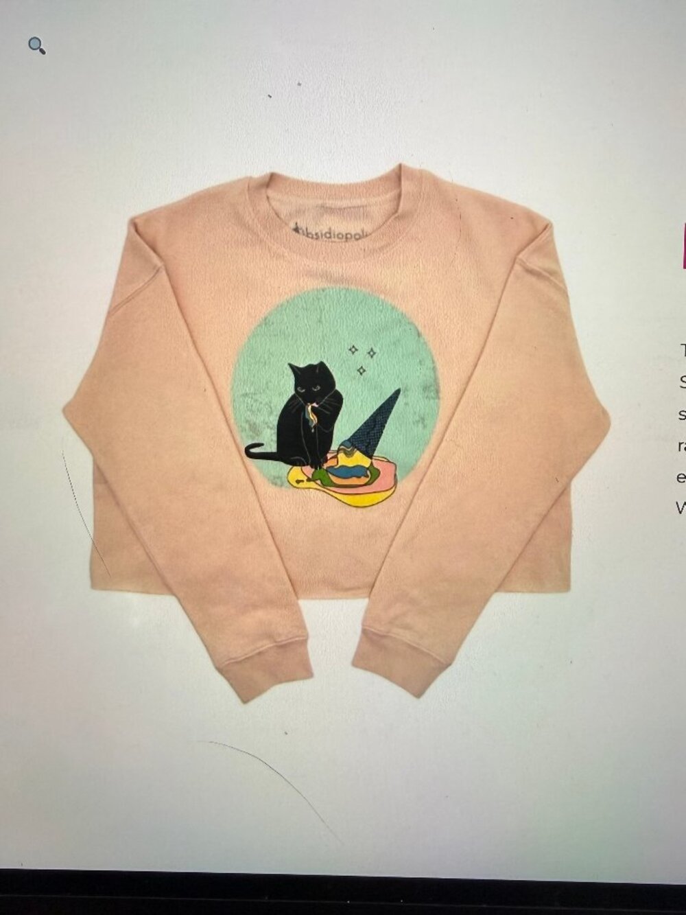 Yum Crop Sweatshirt from Meow Wolf Santa Fe, Pink, Med, Perfect Condition